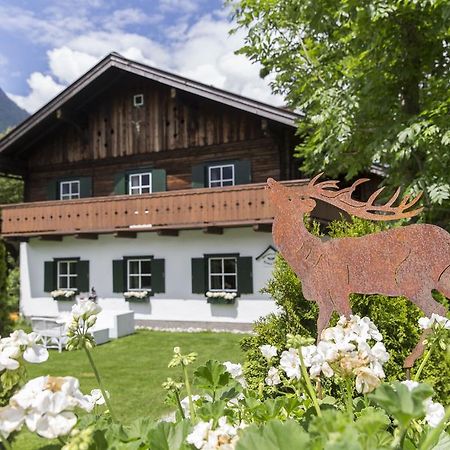 Forest Chalet, 15 Min To Salzburg Olt Town, And Most Beautiful Lakes, Secluded Location, 1,000 Sqm Garden, Mountainview, Panorama Sauna, Bath Whirlpool, Bbq&Bikes&Sunbeds For Free, Up To 10 P 哥林素萨尔察赫 外观 照片