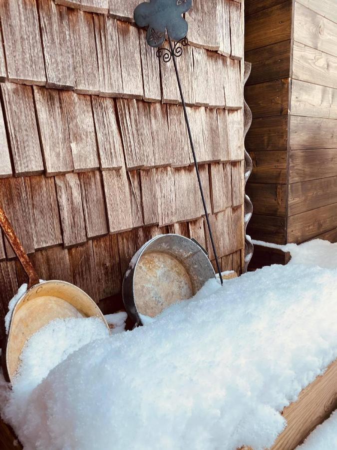 Forest Chalet, 15 Min To Salzburg Olt Town, And Most Beautiful Lakes, Secluded Location, 1,000 Sqm Garden, Mountainview, Panorama Sauna, Bath Whirlpool, Bbq&Bikes&Sunbeds For Free, Up To 10 P 哥林素萨尔察赫 外观 照片