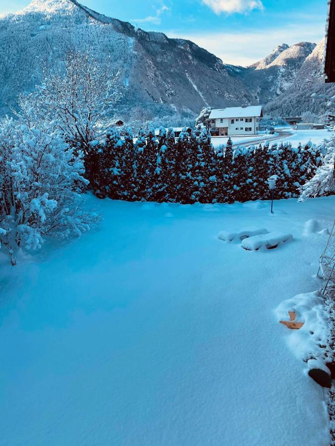 Forest Chalet, 15 Min To Salzburg Olt Town, And Most Beautiful Lakes, Secluded Location, 1,000 Sqm Garden, Mountainview, Panorama Sauna, Bath Whirlpool, Bbq&Bikes&Sunbeds For Free, Up To 10 P 哥林素萨尔察赫 外观 照片
