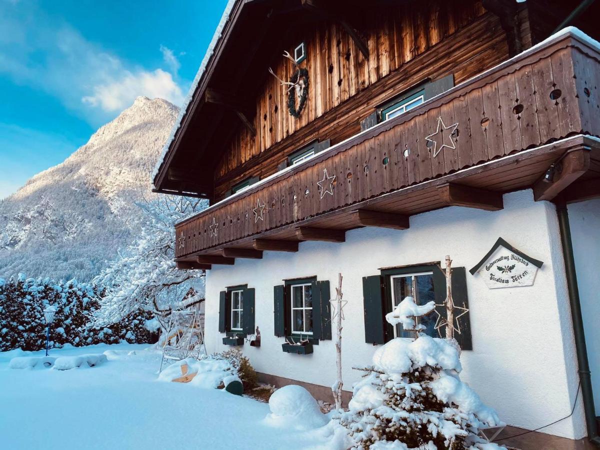 Forest Chalet, 15 Min To Salzburg Olt Town, And Most Beautiful Lakes, Secluded Location, 1,000 Sqm Garden, Mountainview, Panorama Sauna, Bath Whirlpool, Bbq&Bikes&Sunbeds For Free, Up To 10 P 哥林素萨尔察赫 外观 照片