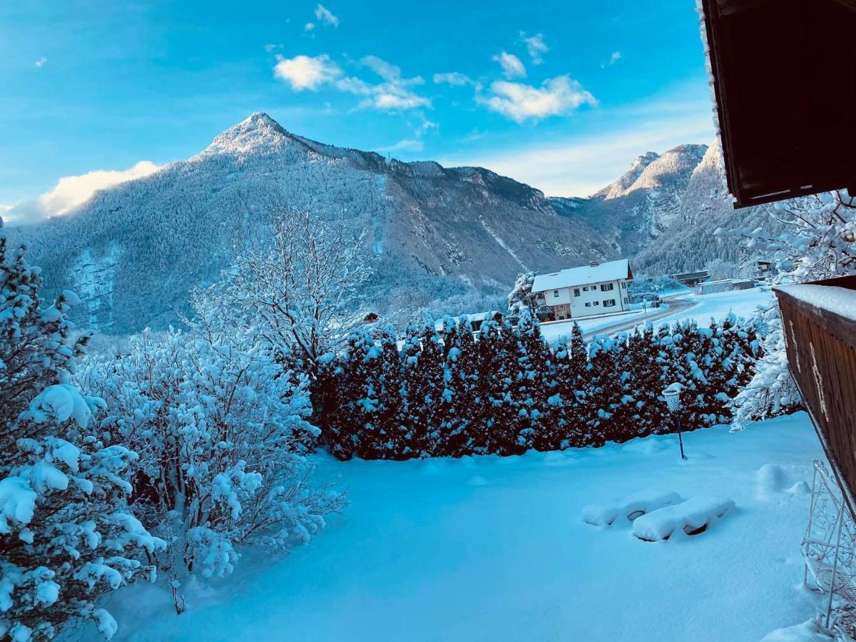 Forest Chalet, 15 Min To Salzburg Olt Town, And Most Beautiful Lakes, Secluded Location, 1,000 Sqm Garden, Mountainview, Panorama Sauna, Bath Whirlpool, Bbq&Bikes&Sunbeds For Free, Up To 10 P 哥林素萨尔察赫 外观 照片