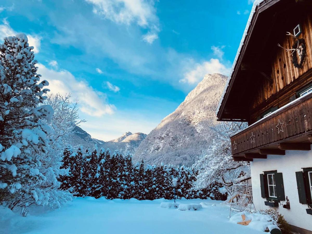 Forest Chalet, 15 Min To Salzburg Olt Town, And Most Beautiful Lakes, Secluded Location, 1,000 Sqm Garden, Mountainview, Panorama Sauna, Bath Whirlpool, Bbq&Bikes&Sunbeds For Free, Up To 10 P 哥林素萨尔察赫 外观 照片