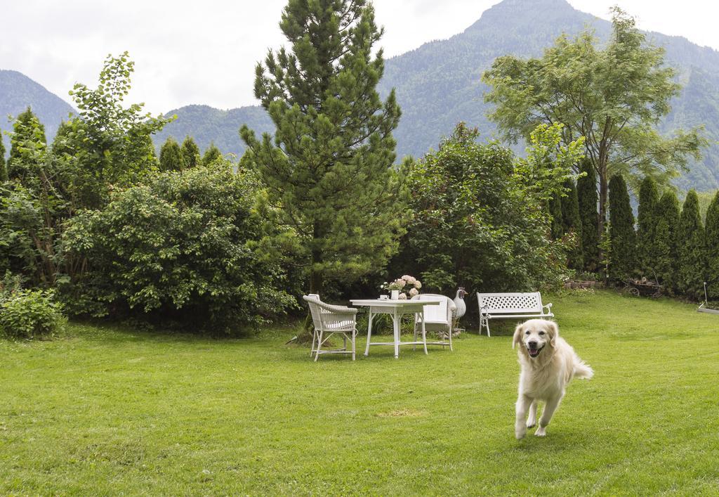 Forest Chalet, 15 Min To Salzburg Olt Town, And Most Beautiful Lakes, Secluded Location, 1,000 Sqm Garden, Mountainview, Panorama Sauna, Bath Whirlpool, Bbq&Bikes&Sunbeds For Free, Up To 10 P 哥林素萨尔察赫 外观 照片