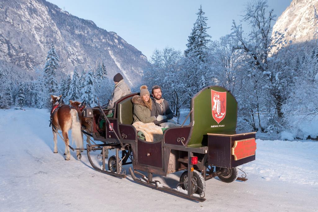 Forest Chalet, 15 Min To Salzburg Olt Town, And Most Beautiful Lakes, Secluded Location, 1,000 Sqm Garden, Mountainview, Panorama Sauna, Bath Whirlpool, Bbq&Bikes&Sunbeds For Free, Up To 10 P 哥林素萨尔察赫 外观 照片