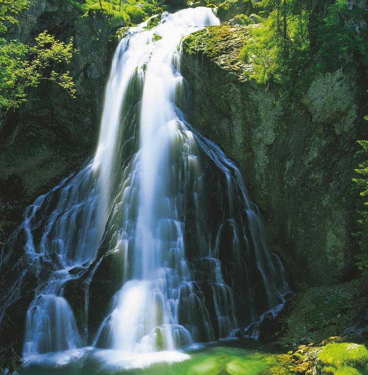 Forest Chalet, 15 Min To Salzburg Olt Town, And Most Beautiful Lakes, Secluded Location, 1,000 Sqm Garden, Mountainview, Panorama Sauna, Bath Whirlpool, Bbq&Bikes&Sunbeds For Free, Up To 10 P 哥林素萨尔察赫 外观 照片